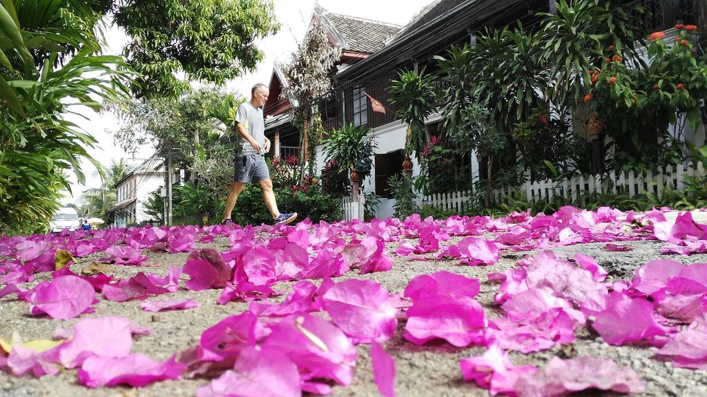 Wisdom laos hotel Luang Prabang Exterior foto