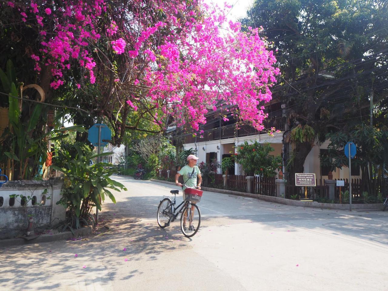 Wisdom laos hotel Luang Prabang Exterior foto
